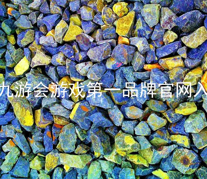 j9九游会游戏第一品牌官网入口